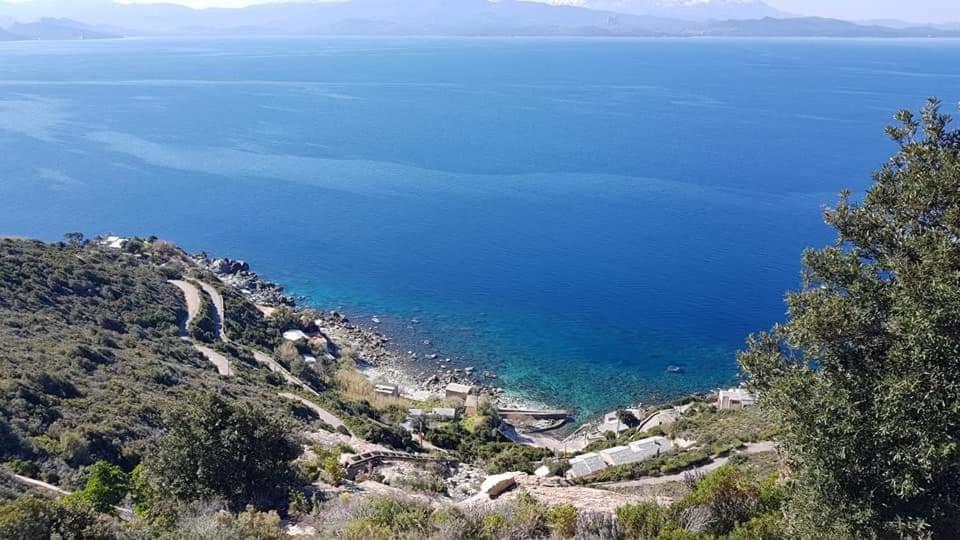 Location Corse *
