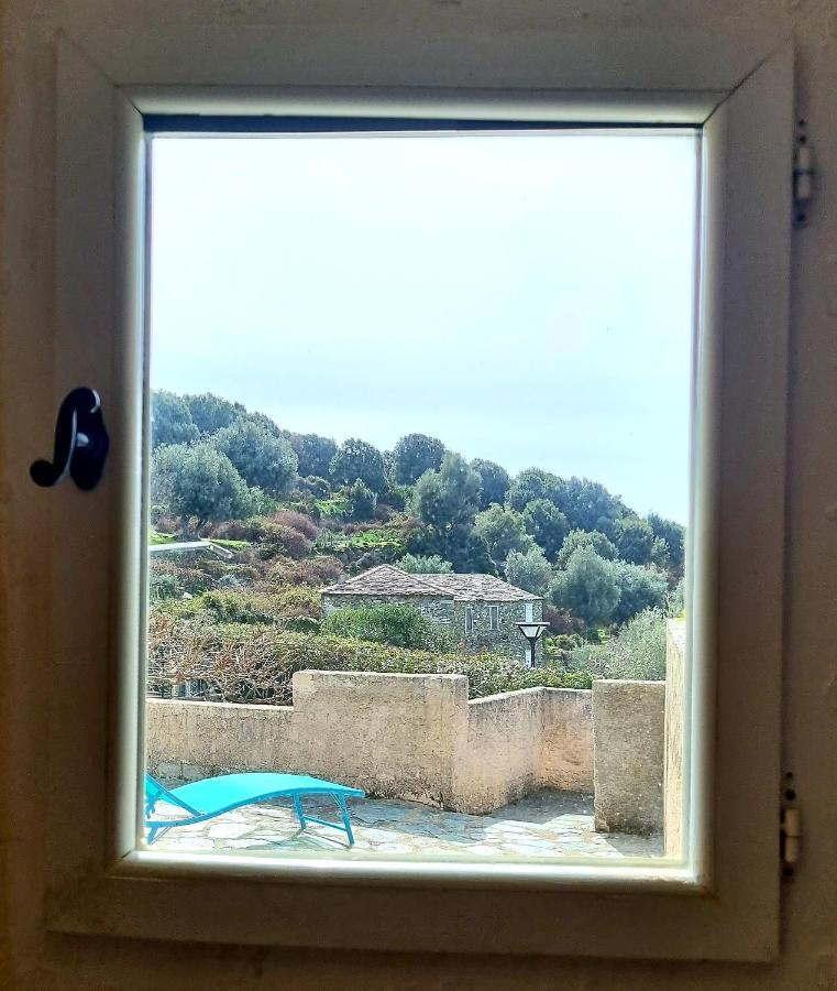 Location Corse * Canari