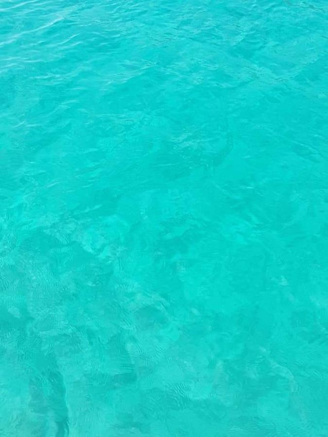 Apartment Location Corse Canari