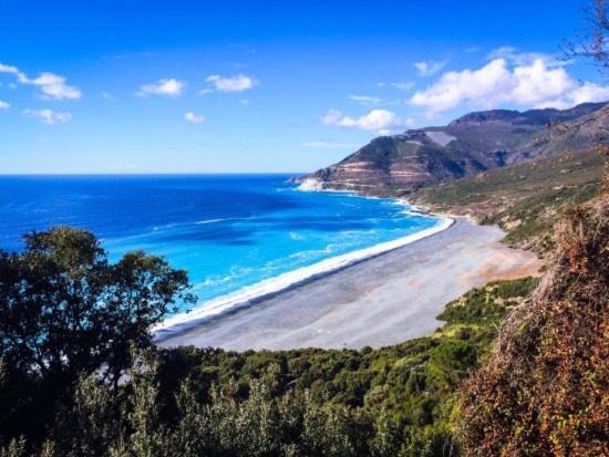 Location Corse Apartamento Canari