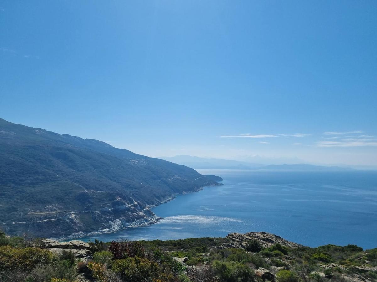 Apartment Location Corse
