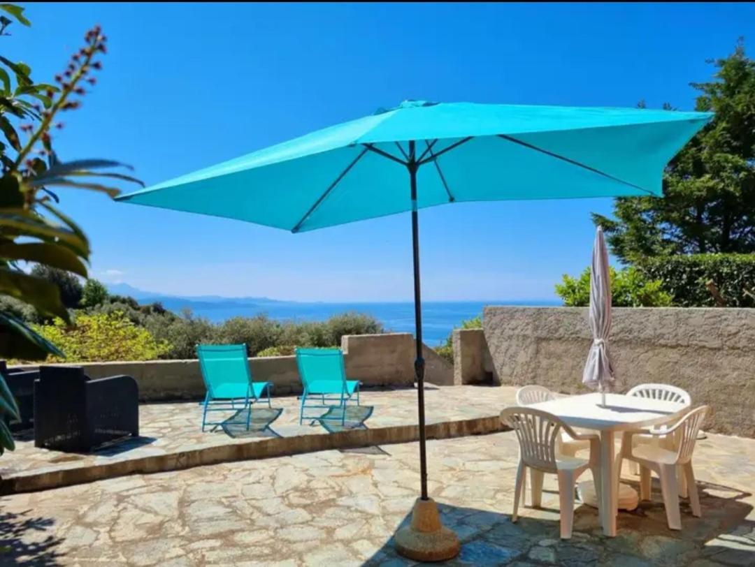 Location Corse Apartment