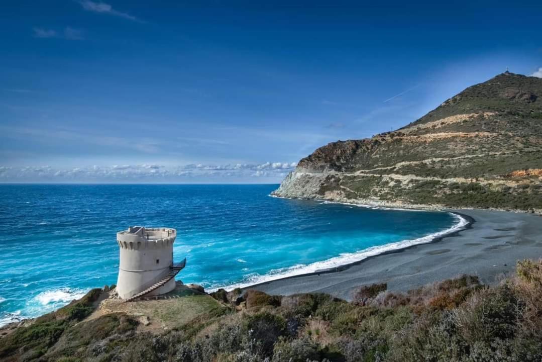 Location Corse Canari