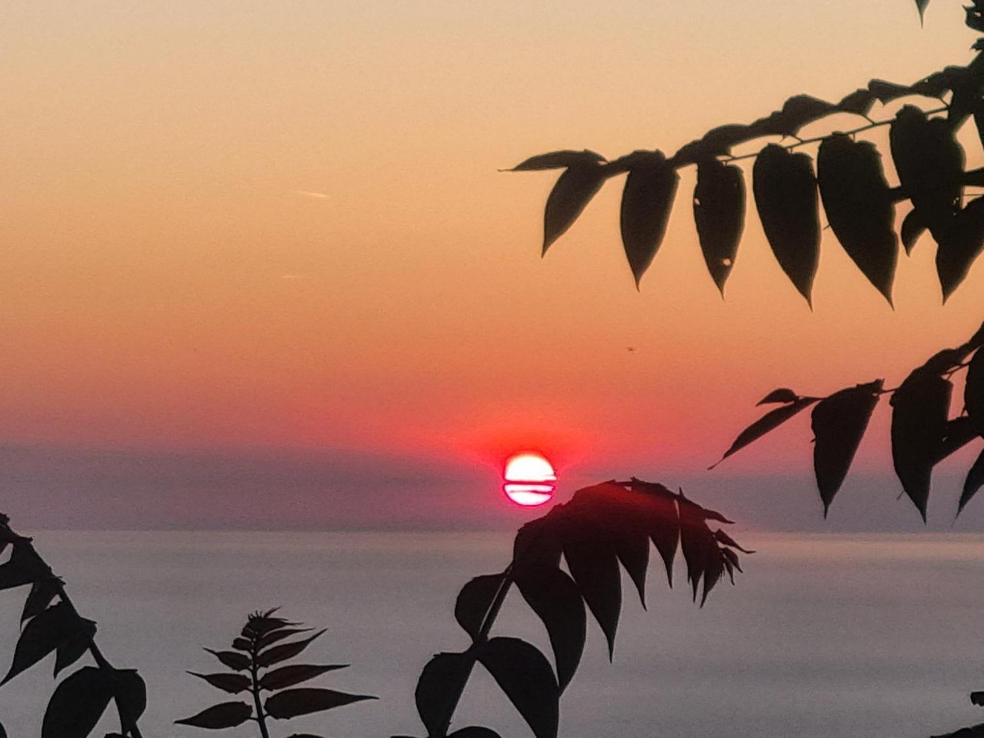 Location Corse * Canari