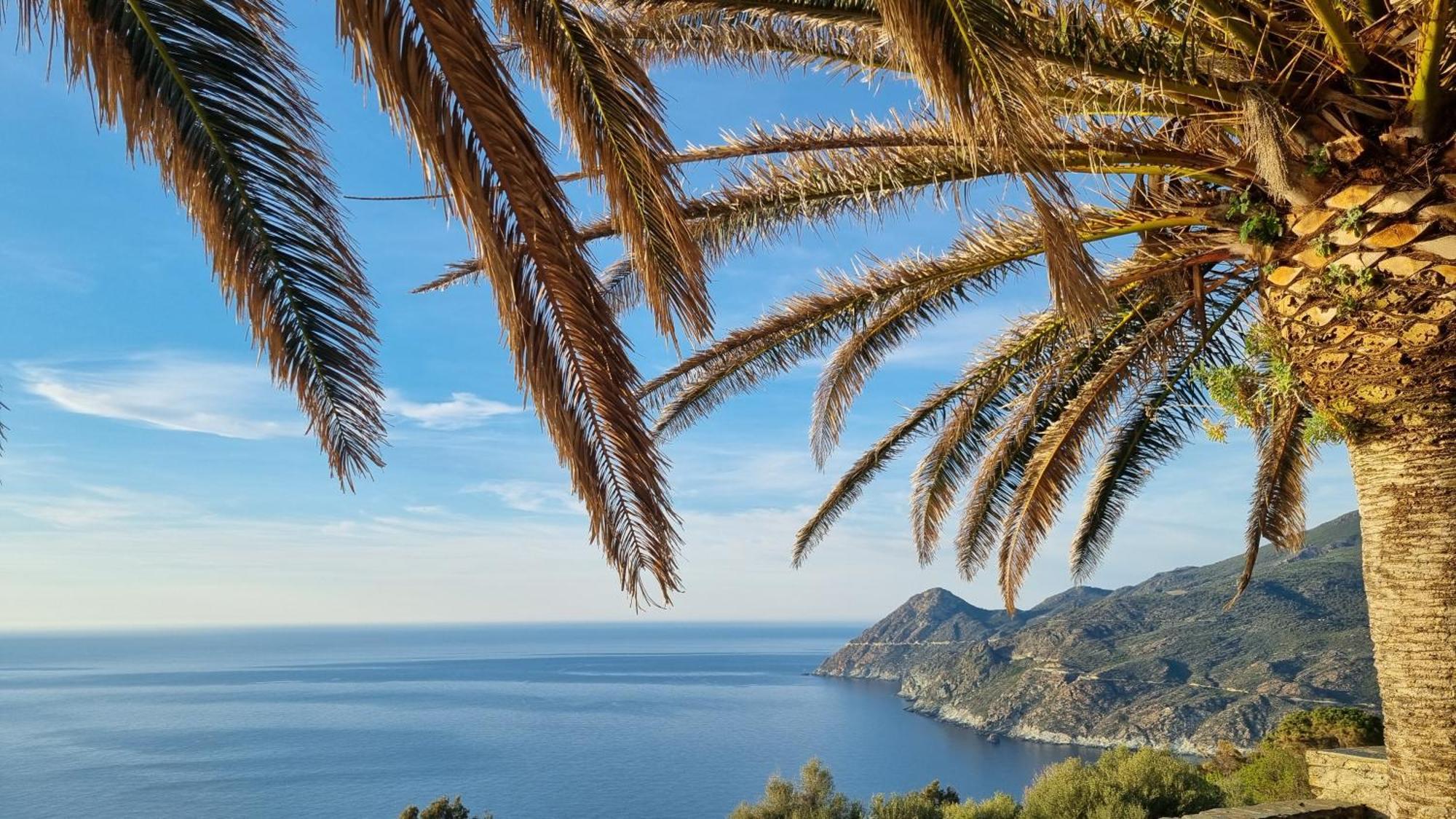 Apartment Location Corse Canari